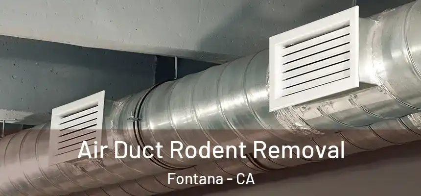 Air Duct Rodent Removal Fontana - CA