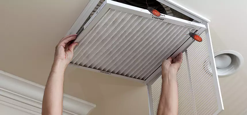 Preventive Cockroach-Proofing for Ducts in Fontana