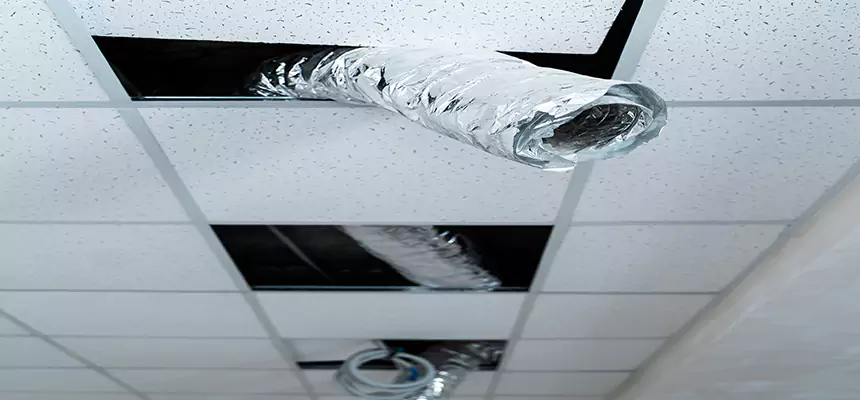 Affordable HVAC Sanitizing After Pest Removal in Fontana