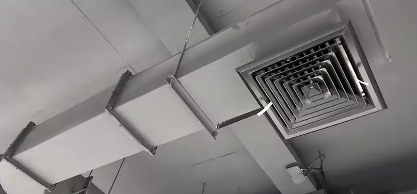 Our Pest Removal From Ducts Services in Fontana, CA