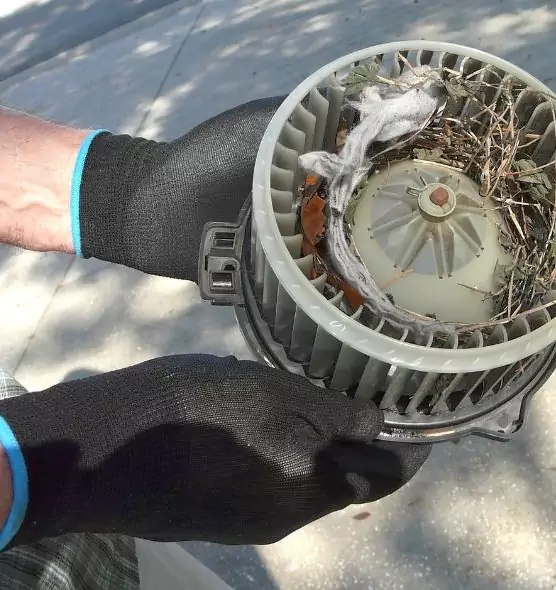 About Air Duct Mice Removal in Fontana, CA