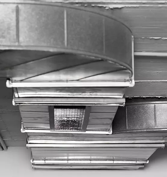 Professional Air Duct Pest Removal in Fontana, CA