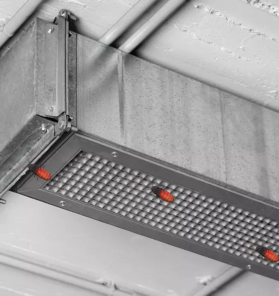 Affordable Insect Removal from Air Ducts in Fontana, CA