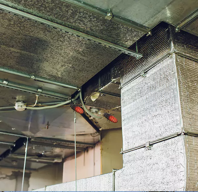 Why Homeowners & Businesses Trust Us in Fontana, CA?