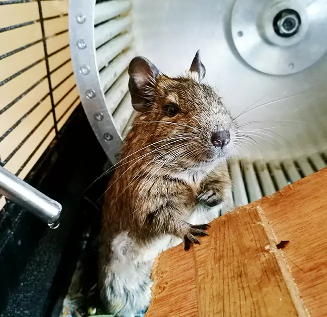 Why Homeowners & Businesses Trust Us Fontana, CA